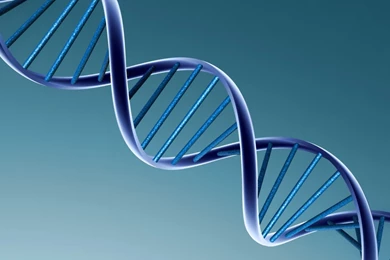 Biology Wallpapers 158283