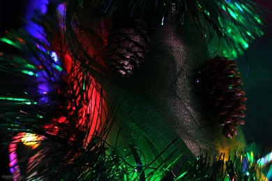 Crazy Coourful HD Wallpapers.jpg