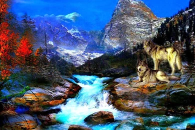 3D Wolf Wallpapers   Android Apps And Tests   AndroidPIT