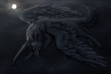 3D Black Wolf Wings Wallpapers HD.jpg