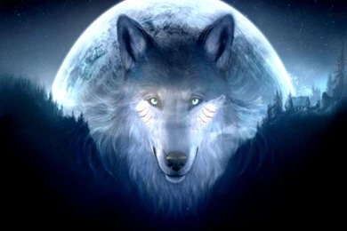 3D Wolf Wallpapers Hd