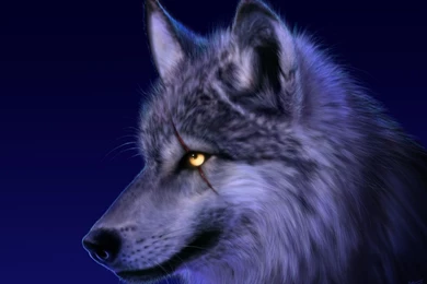 Gallery For Art Wolfe Wallpapers