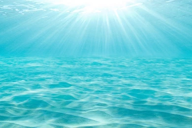 Deeper Than The Oceans — DON'T LET STUPID BOYS MAKE YOU SAD On We ...