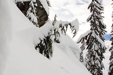 Snowboarding On Pinterest