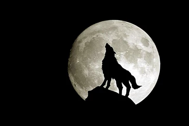 Black And White Wallpapers