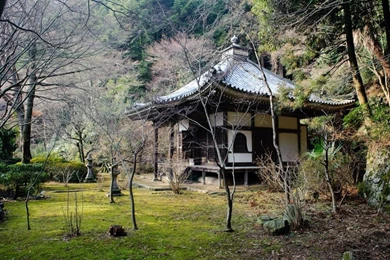 Tea House Japan Japanese Fall Nature Hram Derevya Krysha Other ...