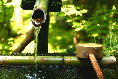 Gardens Wallpaper: Japanese Garden Tsukubai Water Bamboo Bucket HD ...