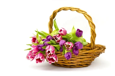 Flowers Basket Wallpapers HD Pictures