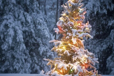 Christmas Backgrounds Wallpapers