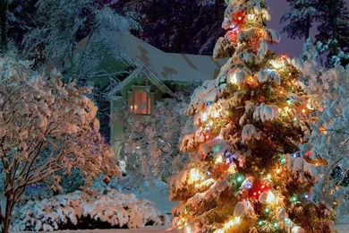 Gallery For   Hd Christmas Wallpapers Ipad