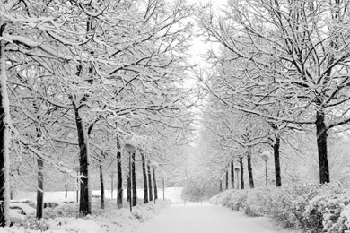 Winter Computer Wallpapers, Desktop Backgrounds