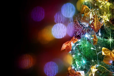 Gallery For   Hd Christmas Wallpapers Ipad