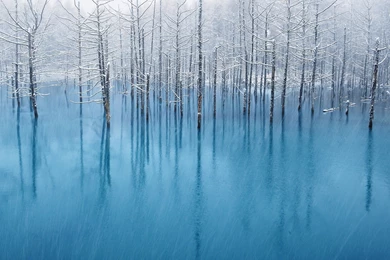 Winter Snow Backgrounds