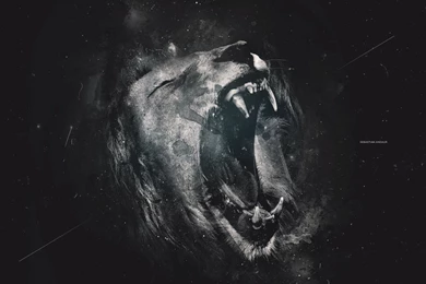 Lion Wallpapers 3d GRS14