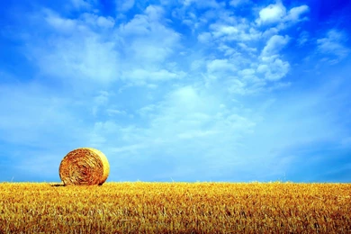 Wallpapers Nature Summer Backgrounds Hd Wallpapers Amagico Hd