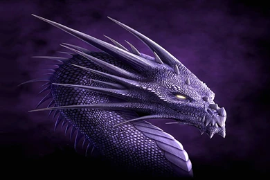 Purple Dragon Wallpaper Backgrounds