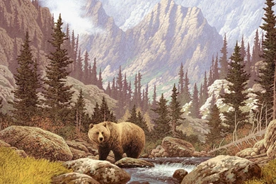 Brown Bear In The Picture Wallpapers And Images   Wallpapers ...