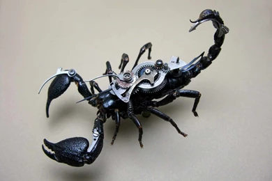 Scorpion Robot HD Wallpapers ~ Tracy Morgan