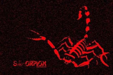 Scorpions Wallpapers