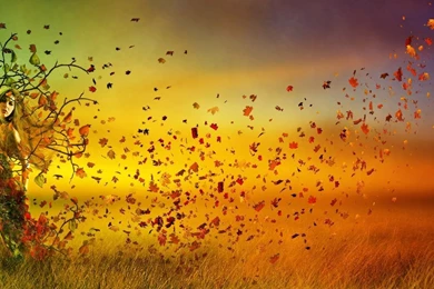 Autumn Wallpapers   Fantasy Wallpapers