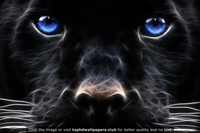 Page 546 Of Best サイズを 4K Or HD Wallpapers