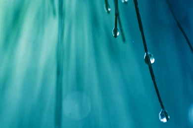 Gallery For   I Mac Wallpapers Hd