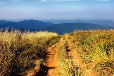 Hiking Path Landscape / HD iPad Wallpapers