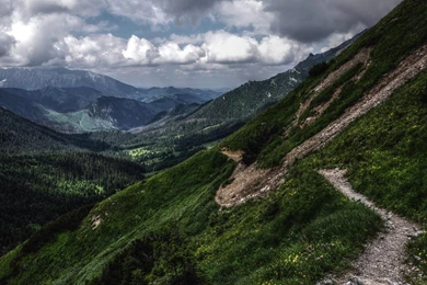 HIKING TRAIL WALLPAPER   (