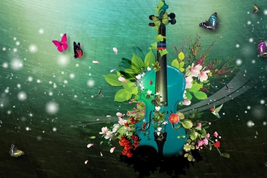 Violin Musical Instrument >> HD Wallpaper, Get It Now!