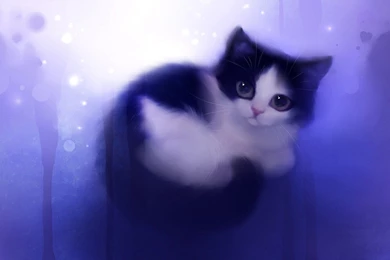 Gallery For   Cat Cute Wallpapers