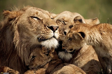 53922_1600x1200 wallpaper cb1341259280.jpg