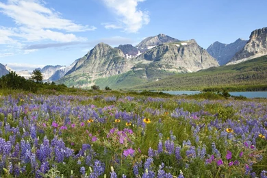 Maroon Bells Wallpapers   Free Wide HD Wallpapers
