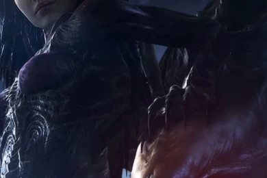 Sarah Kerrigan   Starcraft 2 iPhone 5 Wallpapers