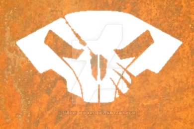 DeviantArt: More Like Starcraft II   Jim Raynor Skull Emblem By ...