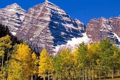 Mountains Landscapes White Forests National Colorado Bells ...