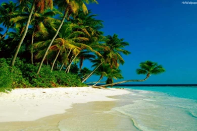 Beach Wallpapers Hd   Wallpapers HD Fine