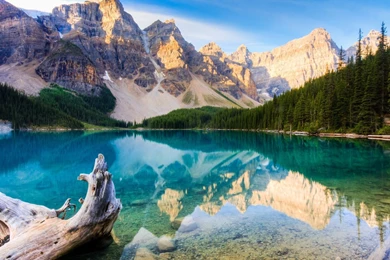 Nature: Canada Nature Corner, Picture Nr. 62134