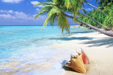 Beach Wallpapers STAY108