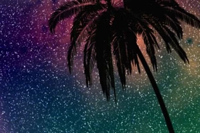 Palm Tree iPhone Backgrounds