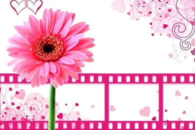 Download Lovable And Adorable Cute Wallpaper: Animal By Free ...