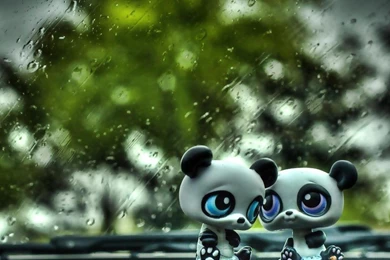 3d Adorable Pandas   (