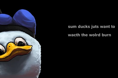 Funny Computer Wallpapers, Desktop Backgrounds