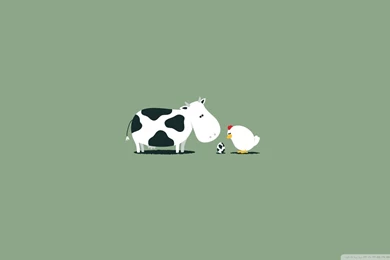 Funny Cow Egg Wallpapers 1920x1080 Funny