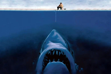 Funny Wallpapers Hd   1343863