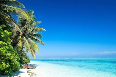 1920x1080 Beach Palms Sun Wallpapers