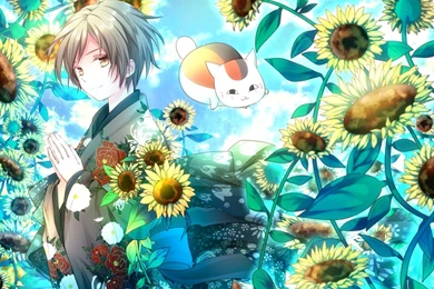 Natsume Yuujinchou Wallpapers HD Download