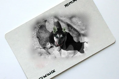 Joker Card By Vikiusha On DeviantArt