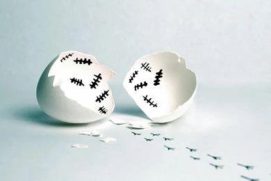 Eggs Alcohol Cow And Chicken Egg