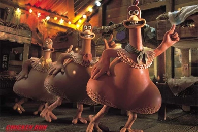 Chicken Wallpapers And Images   Wallpapers, Pictures, Photos