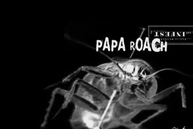 Wallpapers Music > Wallpapers Papa Roach Infest By Unloving ...
